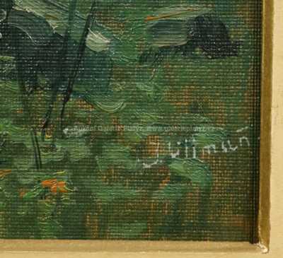  / V hlubokém lese / Josef Ullmann