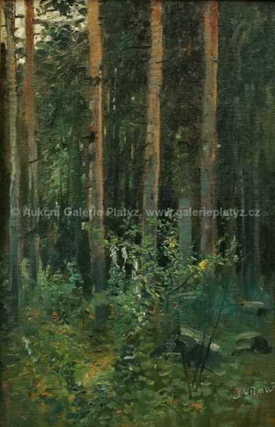  / V hlubokém lese / Josef Ullmann