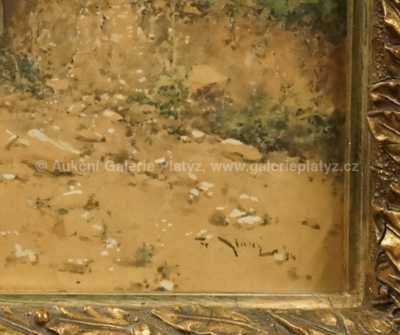  / Pasáček na cestě / František Slabý