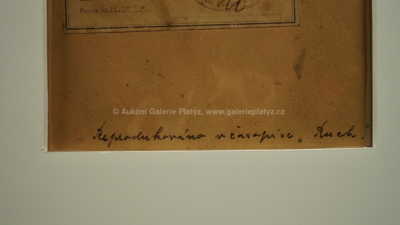  / V salonu / Luděk Marold