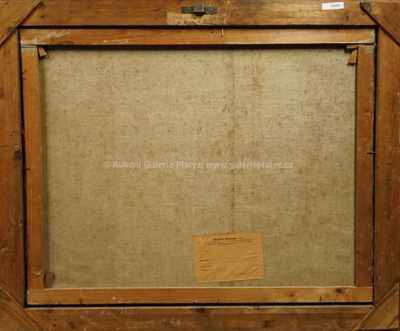  / Husopasky / Vlastimil  Košvanec