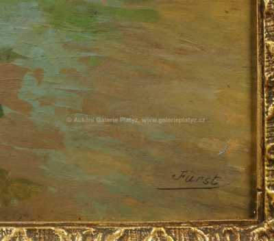  / Kapří rybník / Jindřich Fürst