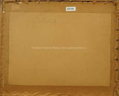  / Čtenářka / Franz Maschek