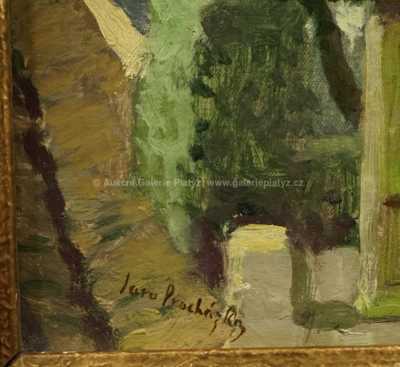  / Na návsi / Jaro Procházka