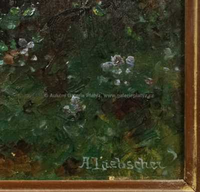  / Pod ochranou Venuše / Adolf Liebscher