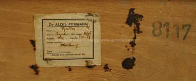  / Vysočina / Alois Pitrmann