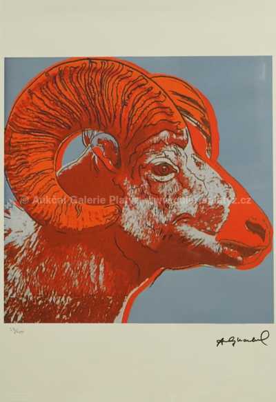  / Beran / Andy Warhol