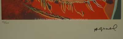  / Tygr / Andy Warhol