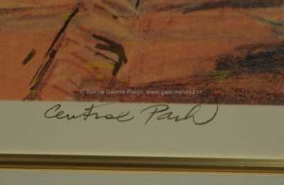  / Central Park / Kamil Kubík