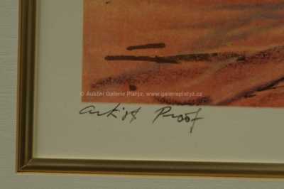  / Central Park / Kamil Kubík