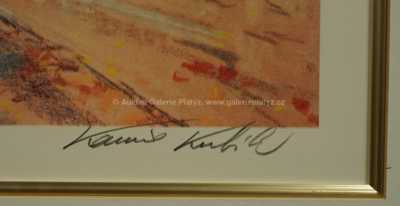  / Central Park / Kamil Kubík