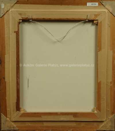  / Mlhovina / Zdeněk Hajný