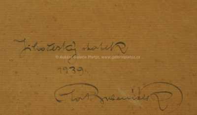  / Statek v jižních Čechách / Ota Bubeníček