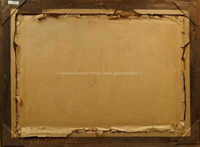  / Řeka lemovaná stromovím / Václav Radimský