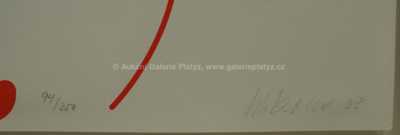  / Linie / Zdeněk Sýkora