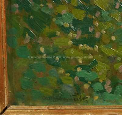  / Statek v údolí / Ota Bubeníček