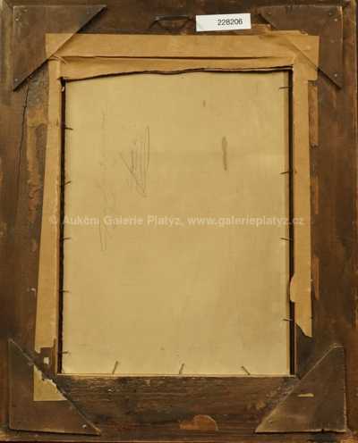  / Lesní pěšina /   Autor neurčen