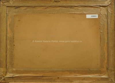  / Břízy nad údolím / Antonín  Augusta