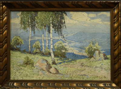 Antonín Augusta - Břízy nad údolím