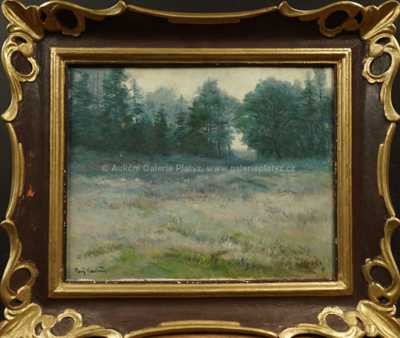 Gustav Porš - Louka u lesa