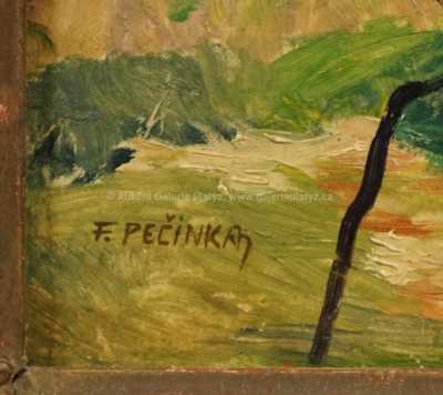  / Letní den / František Pečínka