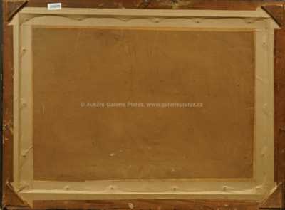  / Rozkvetlý den / Gustav Macoun