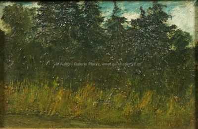  / Vysoké trávy / Antonín Waldhauser 