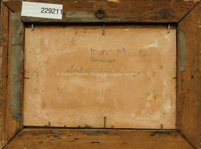  / Vysoké trávy / Antonín Waldhauser 