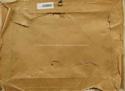  / Krajina / Bohuslav Dvořák