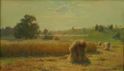  / Žně / František Daněk - Sedláček