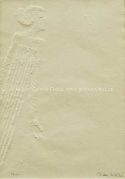  / Evo! / Olbram Zoubek