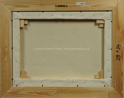  / Pancho Villa žádá Boženu Němcovou o ruku babičky / František Ringo Čech