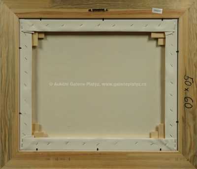  / O největší krasavici / František Ringo Čech