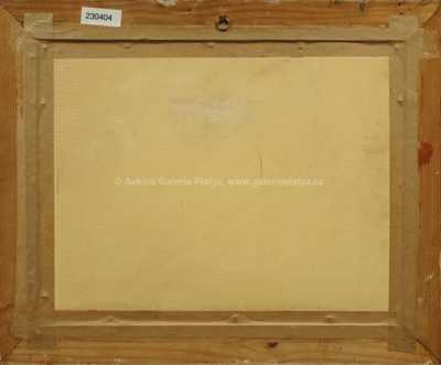  / Vesnice pod sněhem / Ferdinand Kotvald