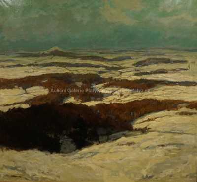  / Zimní krajina / Gustav Macoun