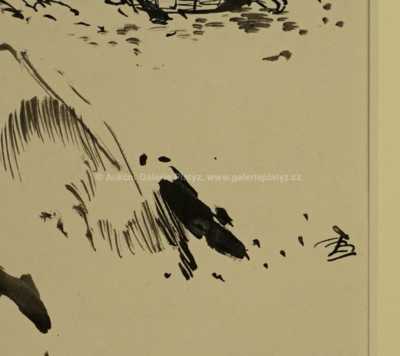  / Objevená jeskyně / Zdeněk Burian