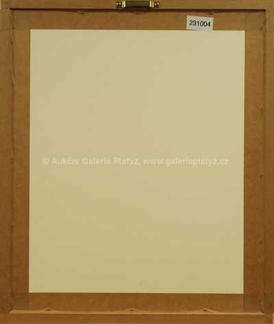  / Objevená jeskyně / Zdeněk Burian