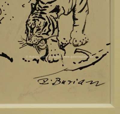  / Tygr na lovu / Zdeněk Burian