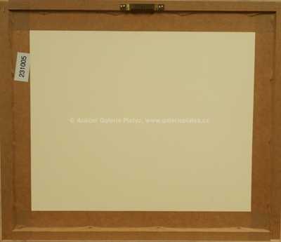  / Tygr na lovu / Zdeněk Burian