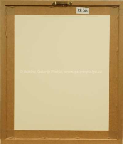  / Soubor studií / Zdeněk Burian