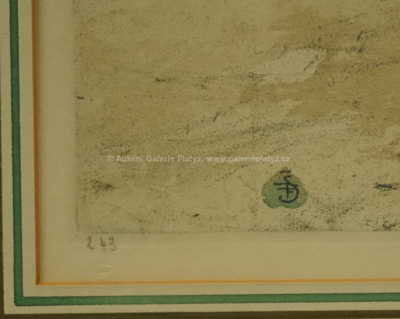  / Na tržišti / František Tavík Šimon