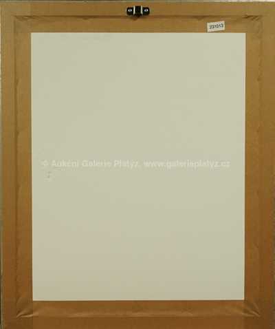  / Vysoká škola / František  Tichý