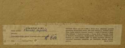  / Albánský bojovník / Otakar Číla