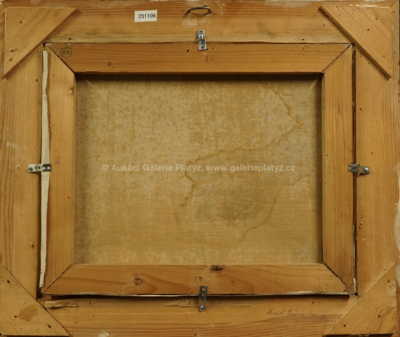  / Růže / Emil Schovánek