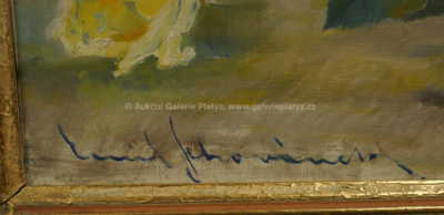  / Růže / Emil Schovánek