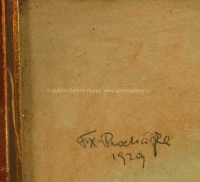  / Štiky / František X. Procházka