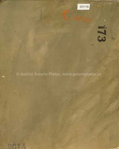  / Dostaveníčko / Alois Wierer