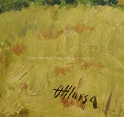  / Pohled do kraje / Oldřich Hlavsa