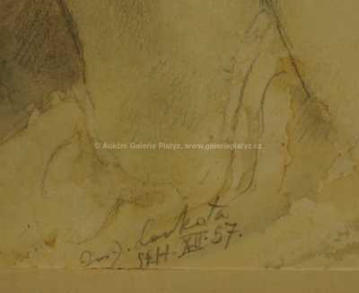  / Dívka s květinou / Josef Loukota