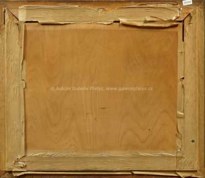  / Potok v zimě / Alois Kalvoda